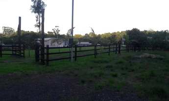 Imagem 4: Chácara em Triunfo com ponto comercial