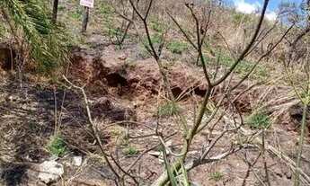 Imagem 4: Lote 1000m2 Cidade Jardim taquaril