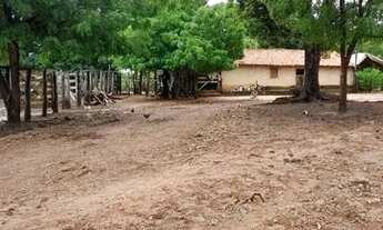 Imagem 6: FAZENDA À VENDA EM BALSAS - MA - 470 HECTARES - (DUPLA APTIDÃO