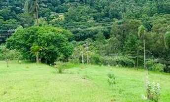 Imagem 4: Terrenos com otimas topografias para você construir