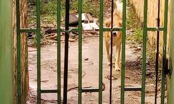 Imagem 2: Casa no amazonex