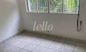 Imagem 3: São Paulo - Apartamento Padrão - Paraíso