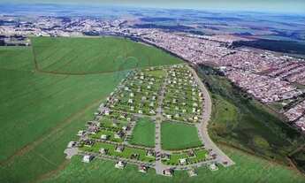 Imagem 3: Terreno Padrão em Cravinhos