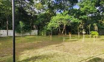 Imagem 2: Apartamento com 2 dormitórios para alugar, 40 m² por R$ 1.882/mês - Horto Florestal - São