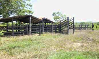 Imagem 4: Fazenda em Almas. 28 mil por alqueire