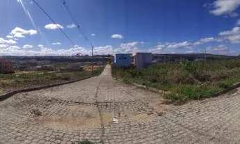 Imagem 6: Vendo 2 lotes em Araripina 320 m2- Loteamento Raimundo Félix IV - Próximo à Faculdade