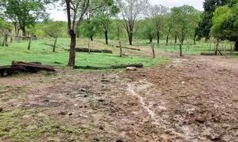 Imagem: FAZENDA À VENDA EM BALSAS - MA - 470 HECTARES