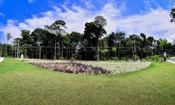Imagem 3: Lote/Terreno para venda no Condomínio Alphaville com 360m² em Ponta Negra - Manaus - Amazo