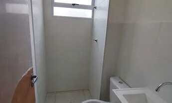 Imagem 3: Apartamento - palmeira monarca