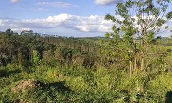 Imagem 5: C- Lotes com várias chácaras ao redor