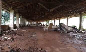 Imagem 6: Sitio em ÓTIMA localização super valorizada