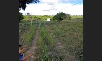 Imagem 4: Terreno em Santa Bárbara