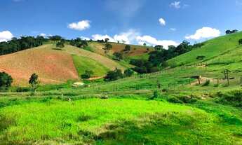 Imagem 5: Linda fazenda A Venda em Borda da Mata- MG