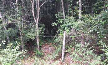 Imagem 2: Lote/Terreno para venda possui 50000 metros quadrados em Arraial D'Ajuda - Porto Segu