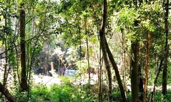 Imagem 7: Chácara à venda em Taquara RS, Na localidade de Fazenda Fialho!!