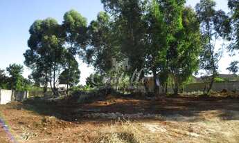 Imagem 3: Terreno em Uvaranas