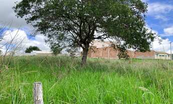 Imagem 6: LOTEAMENTO NOVA GRAVATA-LOTE 250M2 GRAVATA-RECIFE -PE