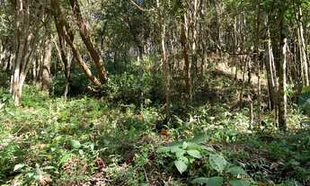 Imagem 2: Terreno Condomínio Aconchego da Serra - Itabirito