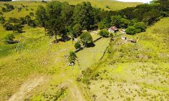 Imagem 7: Linda Área de Terras em Bom Jesus
