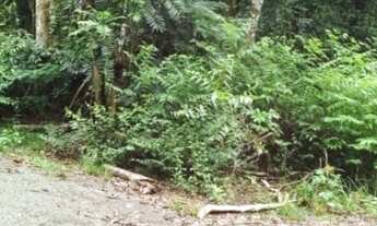 Imagem 3: Chácara à venda em Taquara RS, Na localidade de Fazenda Fialho!!