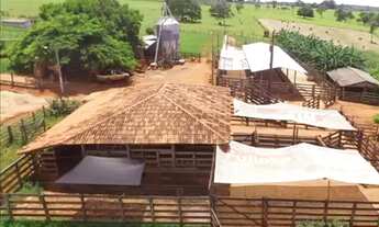 Imagem 2: Fazenda 50ha, pasto, leite, à 7km do asfalto em Luz/MG