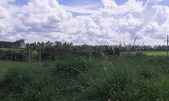 Imagem 2: Terreno Venda Potirendaba - Bairro Plameiras III