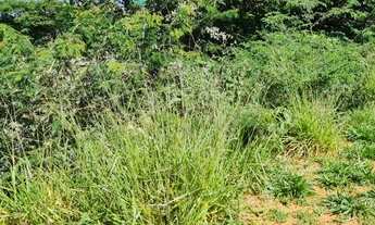 Imagem 7: Contagem - Loteamento/Condomínio - Portal Do Sol