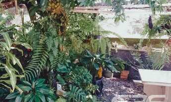 Imagem 5: Casa | Balneário Barra do Sul