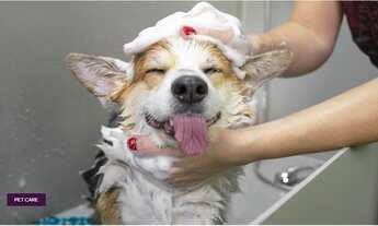 Imagem 3: Apartamento Edifício Wonder Sjc Lançamento Florada São José Jardim Satélite