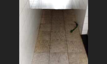 Imagem 6: Casa para aluguel possui 45 metros quadrados com 1 quarto em Jardim City - Guarulhos - São