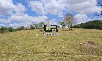 Imagem: Fazenda de 26 Alqueires em Bela vista de