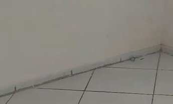 Imagem 3: Alugo apartamento em Nova mangabeira