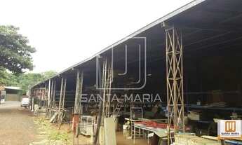 Imagem 2: Salão/Galpão (salão - térreo