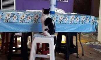 Imagem 2: Aluga se quartos