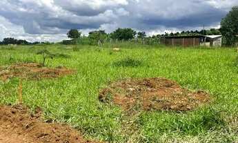 Imagem 6: Chacara aragoiania $29m8l reais 30 km do garavelo