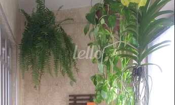 Imagem 3: São Paulo - Casa Comercial - Saúde