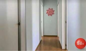 Imagem 6: São Paulo - Apartamento Padrão - Santo Amaro