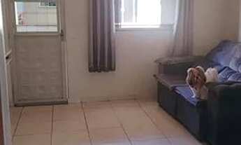 Imagem 3: Vendo ágio de apartamento três ruas atrás do Detran