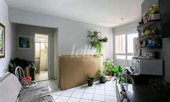 Imagem 3: São Paulo - Apartamento Padrão - Brás