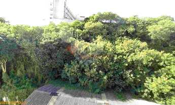 Imagem 3: Afonso Pena cobertura duplex 170m² varanda terraço 4 quartos 1 suíte mobiliado dependência