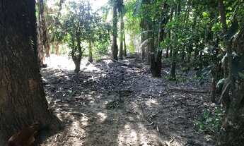 Imagem 7: CASA COM TERRENO COMERCIAL