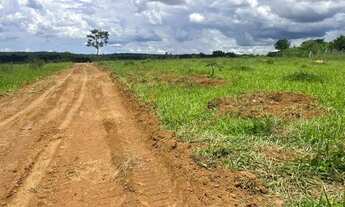 Imagem 2: Chacara aragoiania $29m8l reais 30 km do garavelo