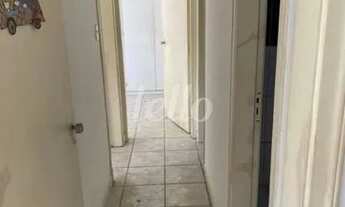 Imagem 2: São Paulo - Apartamento Padrão - Paraíso