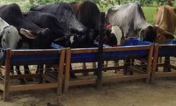 Imagem 7: Sitio top em Mutum MG