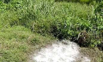 Imagem 7: Amélia Rodrigues - Fazenda com 2 nascente de água, boa para pasto 675.000 m² na Br 324