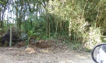 Imagem 2: Area Para Formar Chacara ,Sitio,em Piraquara (Roça Nova,Papanduva