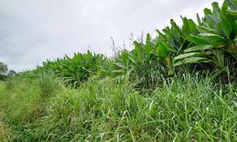 Imagem 3: Sítio 2 alqueires Plano Terra boa pra Banana ( Willian Ricardo