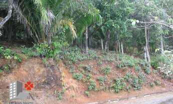 Imagem 2: Terreno residencial à venda, 2130m² por R$1.000.000,00 - Ponta Grossa, Ubatuba/SP