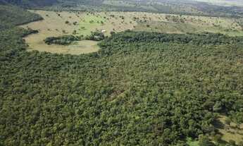 Imagem 6: Fazenda formosa - go - 89 alqueires - excelente - venha conhecer