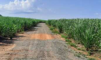 Imagem 4: SITIO COM 25 ALQUEIRES EM MOGI MIRIM